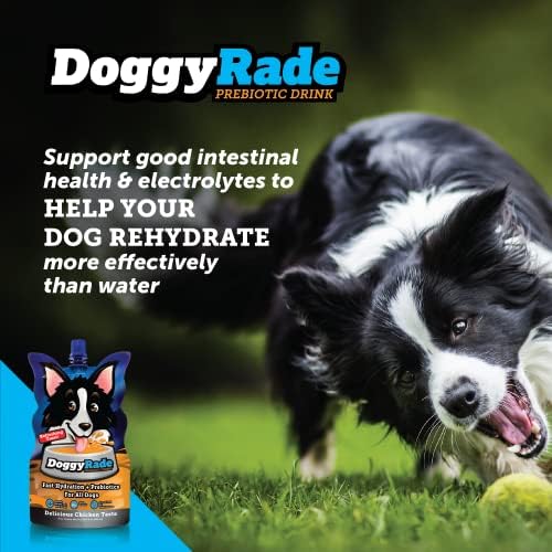 DoggyRade - pes športový nápoj / elektrolyty, živiny & aminokyseliny | Rýchla hydratácia nápoj pre psov + nízkokalorické