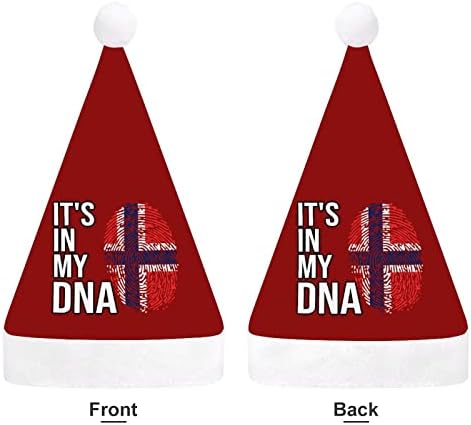 Je to v mojej DNA nórska vlajka Xmas Klobúky hromadné dospelí Klobúky vianočný klobúk na sviatky Xmas Party dodávky