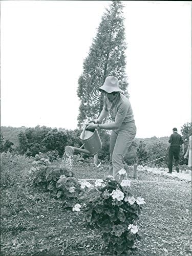 Vintage fotografia Marielle Goitschel polievajúcej rastliny.