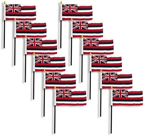 Online obchody Hawaii Flag 4 x 6 palcov