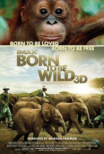 Born To Be Wild 13x20 originálny propagačný filmový plagát